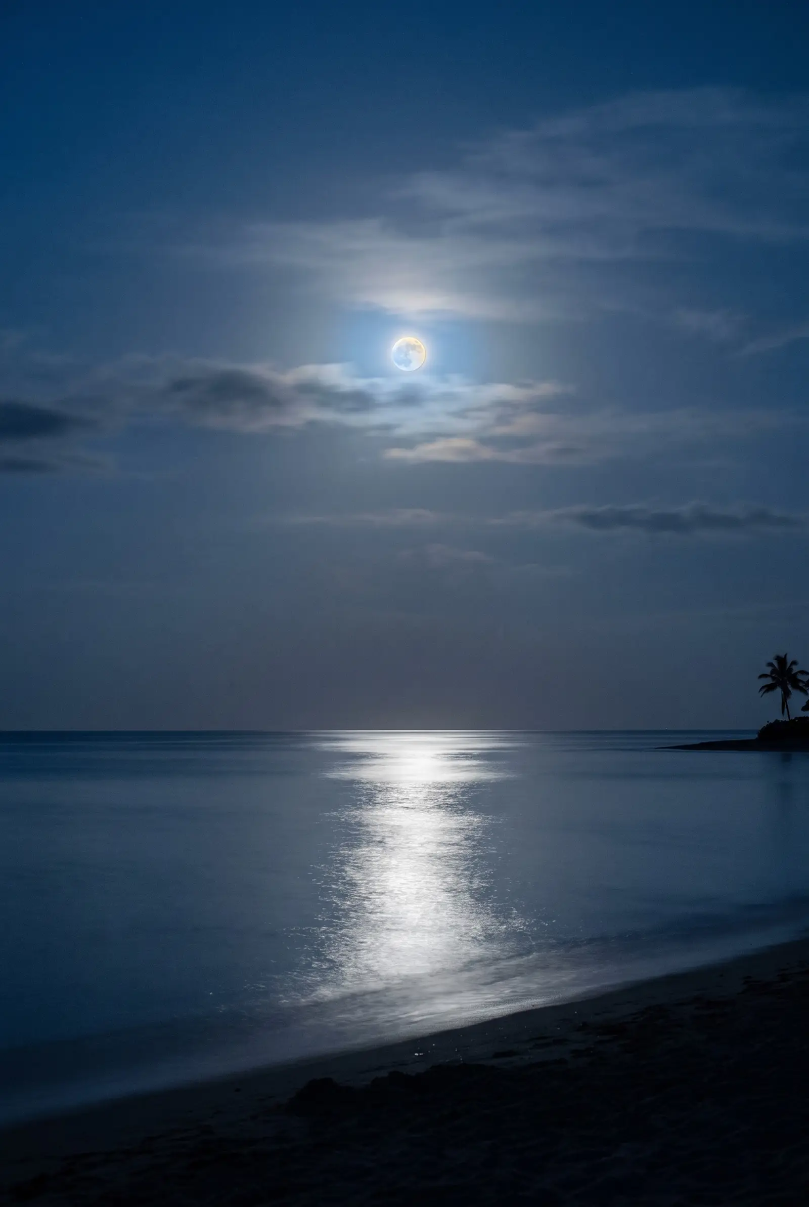 Luna llena sobre el mar en calma, con su camino de luz plateada sobre el agua